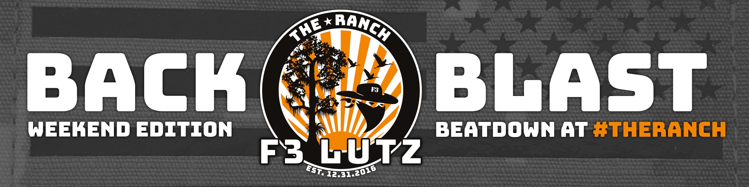 Burpees, Cinderblocks, Pain, the big 3 for Men of F3Lutz