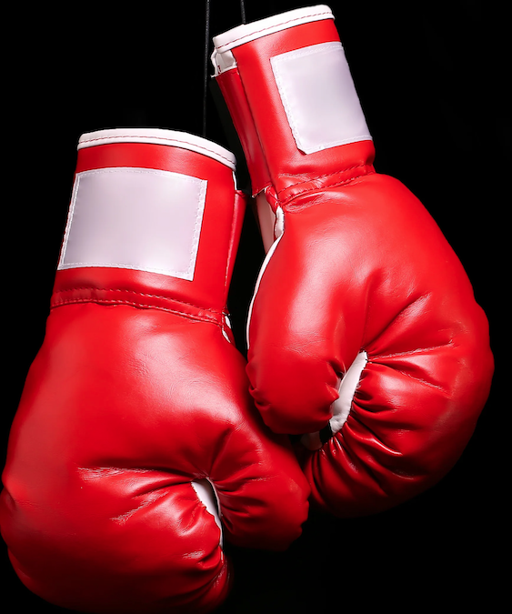 Mixed Martial Pax at the Boneyard